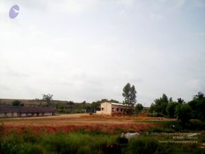 2005 30 CMP WM01.jpg
