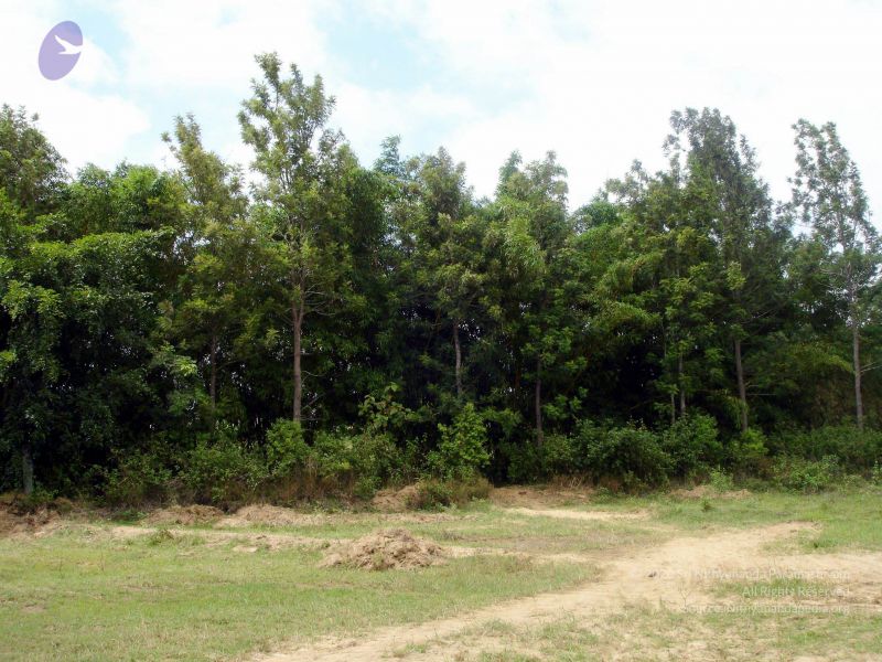 File:2005 338 CMP WM01.jpg