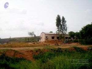 2005 33 CMP WM01.jpg