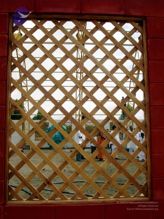 2005 340 CMP WM01.jpg