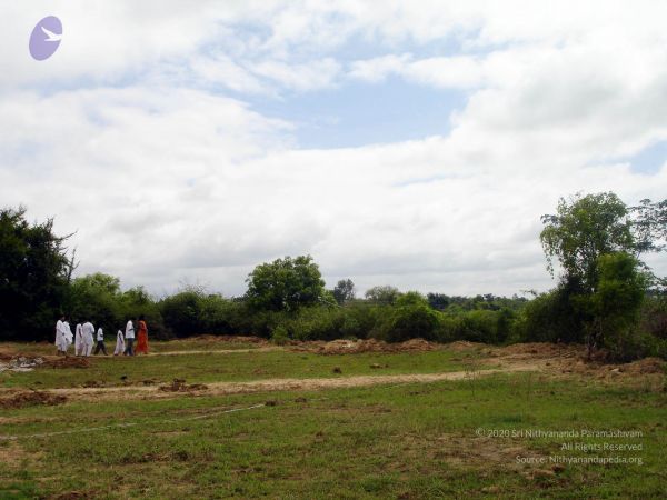 2005 345 CMP WM01.jpg