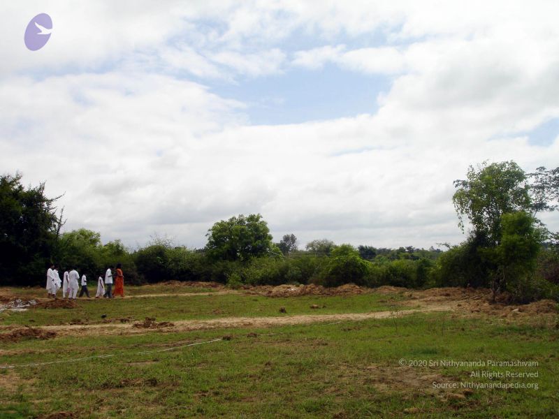 File:2005 345 CMP WM01.jpg
