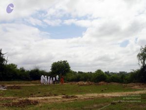 2005 346 CMP WM01.jpg