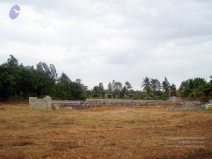 2005 47 CMP WM01.jpg
