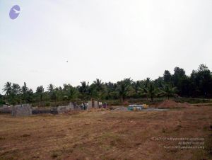 2005 50 CMP WM01.jpg