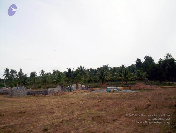 2005 50 CMP WM01.jpg