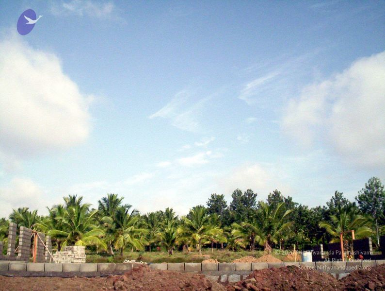 File:2005 65 CMP WM01.jpg