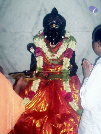 2005 Picture 092 CMP WM 11.jpg