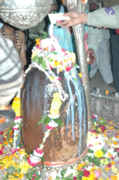 File:20060105 Picture 023 CMP WM.jpg