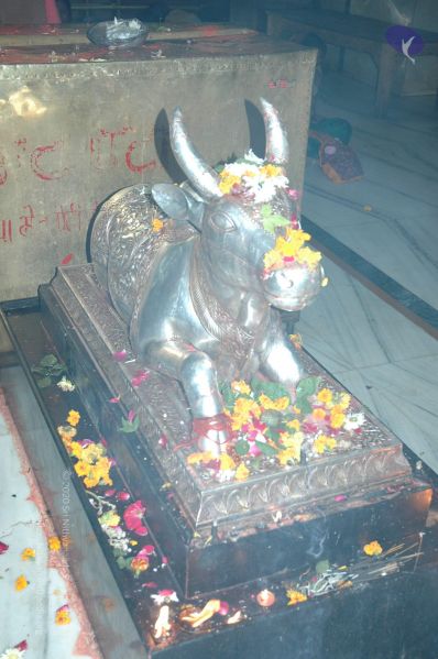 File:20060105 Picture 025 CMP WM.jpg