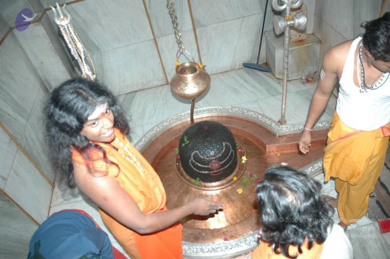 File:20060105 Picture 079 CMP WM.jpg