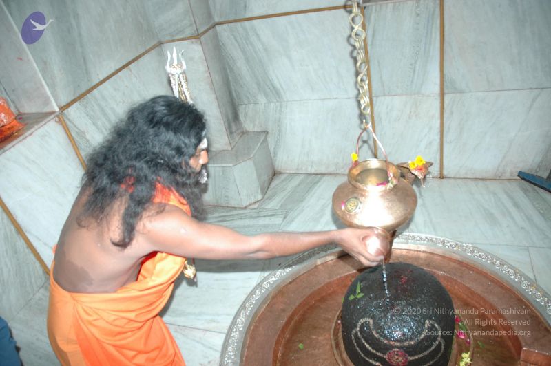 File:20060105 Picture 082 CMP WM.jpg