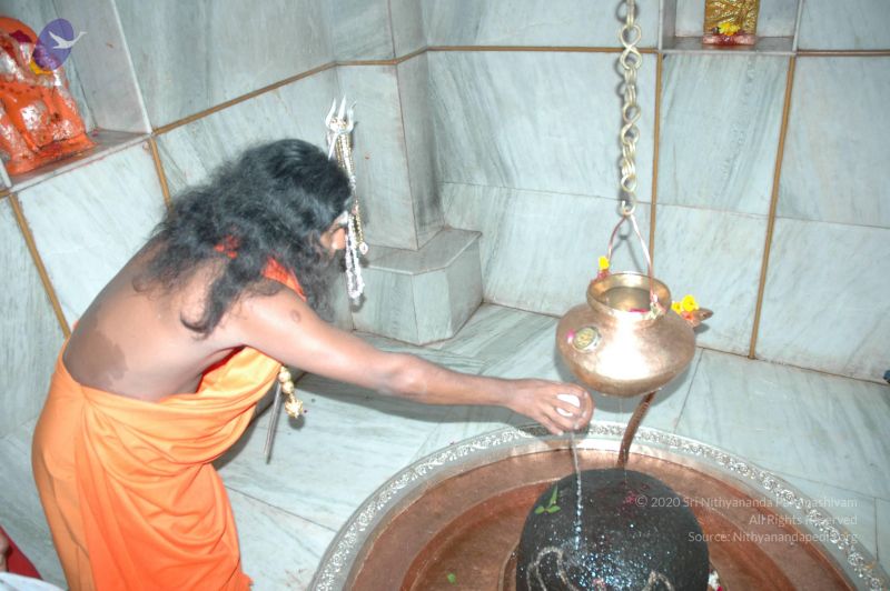 File:20060105 Picture 083 CMP WM.jpg