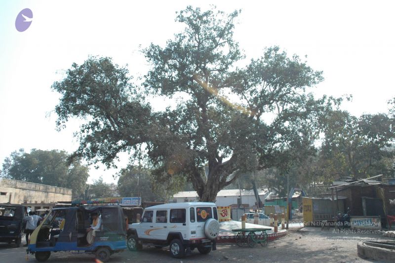 File:20060105 Picture 128 CMP WM.jpg