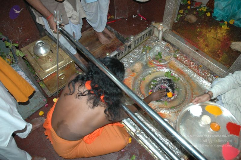 File:20060105 Picture 205 CMP WM.jpg