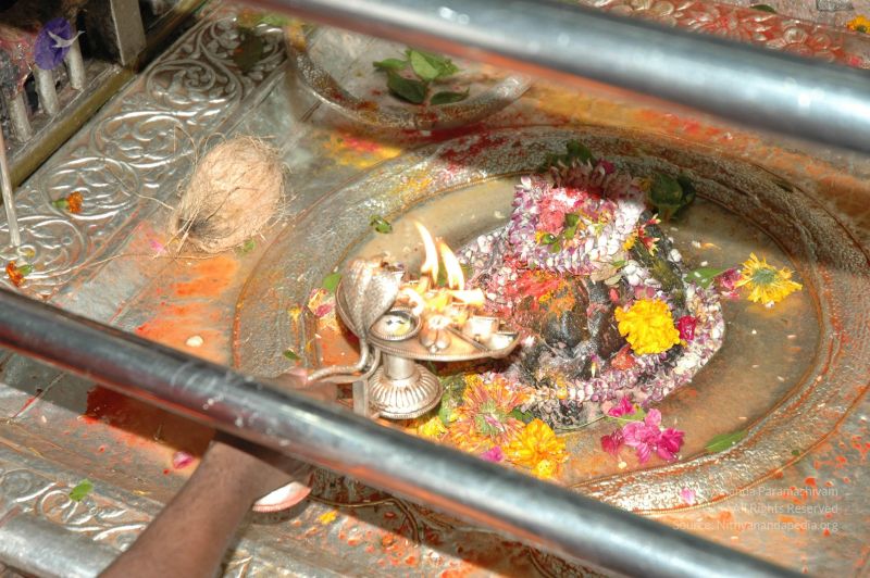 File:20060105 Picture 209 CMP WM.jpg