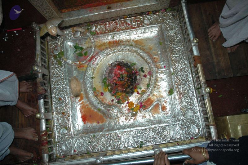 File:20060105 Picture 218 CMP WM.jpg