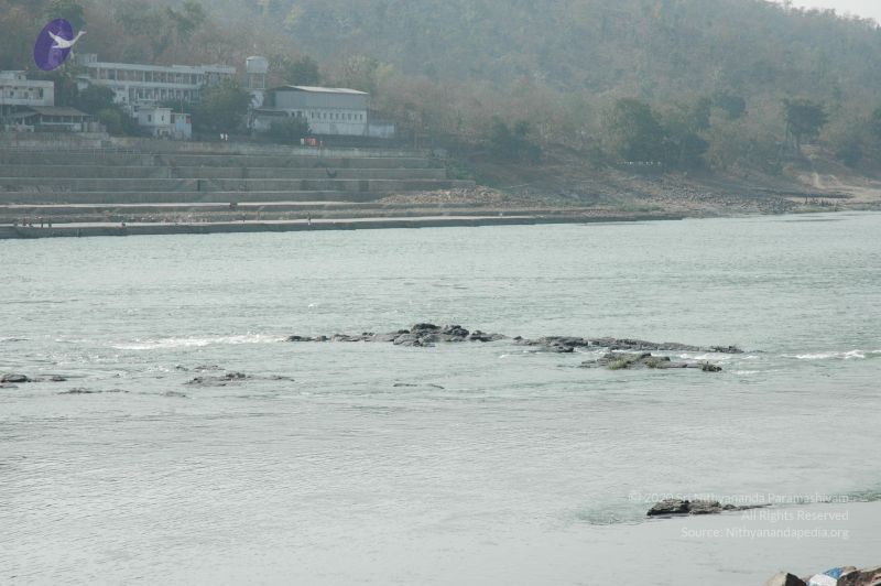 File:20060105 Picture 303 CMP WM.jpg