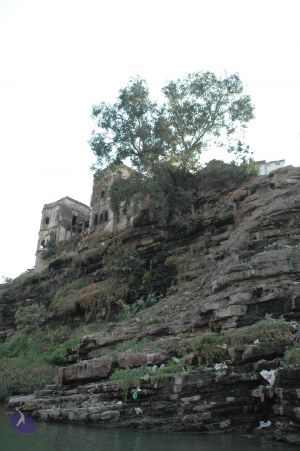 20060105 Picture 313 CMP WM.jpg