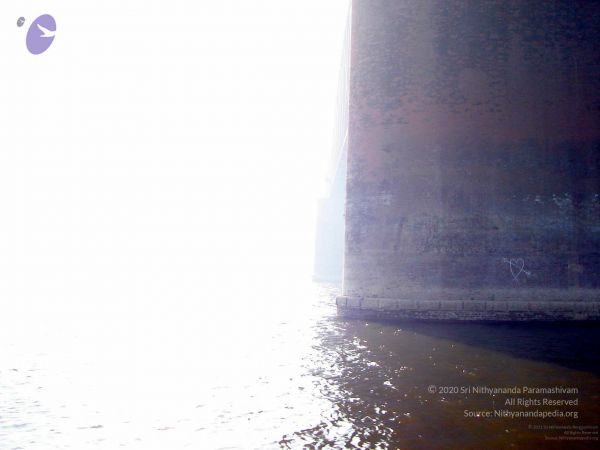 20060106DSC02398 CMP WM001.jpg