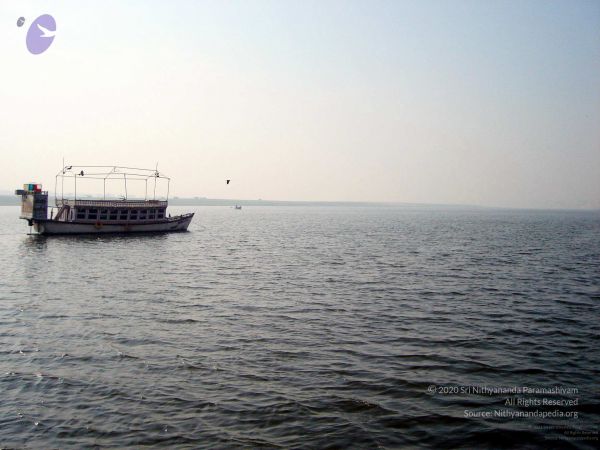 20060106DSC02442 CMP WM001.jpg