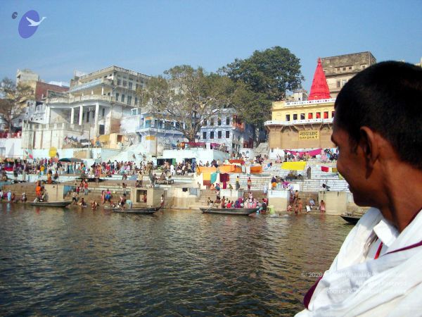 20060106DSC02446 CMP WM001.jpg