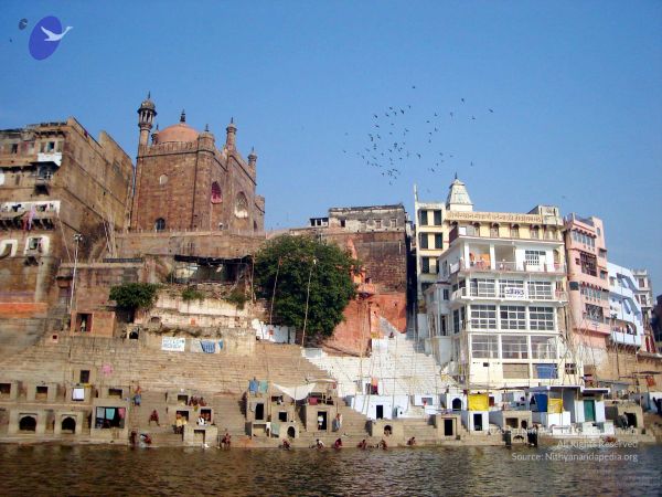 20060106DSC02481 CMP WM001.jpg