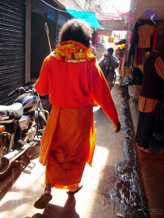 20060106DSC02650 CMP WM001.jpg