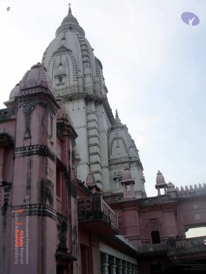 20060107DSC00022 CMP WM001.jpg