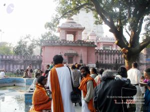 20060107DSC00066 CMP WM001.jpg