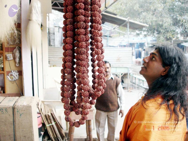 File:20060107DSC00078 CMP WM001.jpg