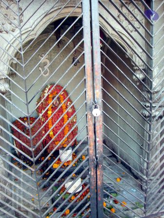 20060107DSC02799 CMP WM001.jpg