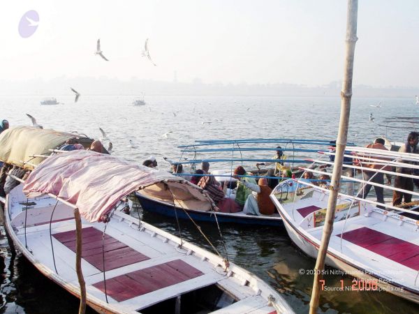 20060108 DSC00010 CMP WM 11.jpg