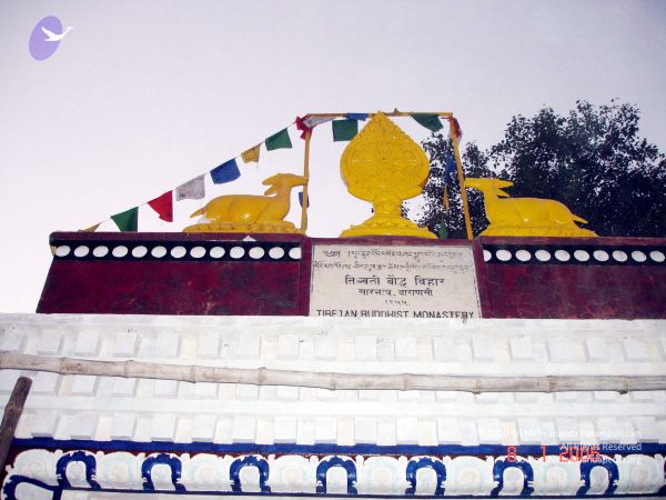 20060108 DSC00089 CMP WM 11.jpg