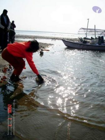 20060108 DSC02181 CMP WM 11.jpg