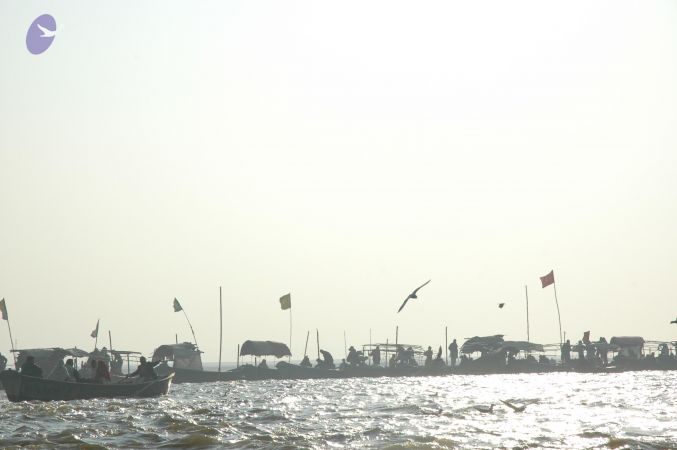 20060108 Picture 455 CMP WM.jpg