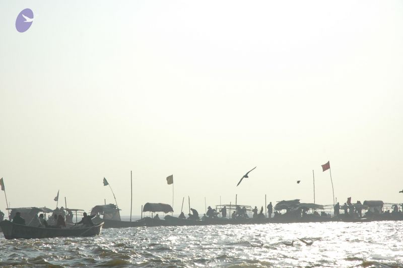 File:20060108 Picture 455 CMP WM.jpg