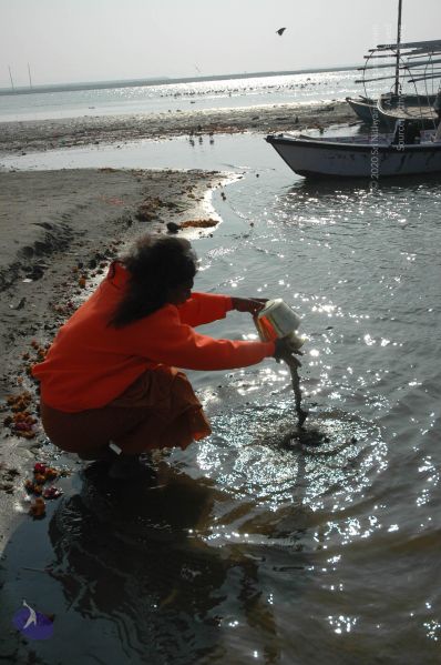 File:20060108 Picture 537 CMP WM.jpg