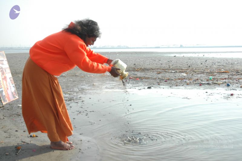 File:20060108 Picture 539 CMP WM.jpg