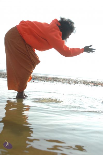 File:20060108 Picture 544 CMP WM.jpg