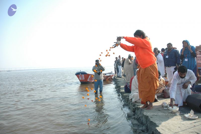 File:20060108 Picture 546 CMP WM.jpg