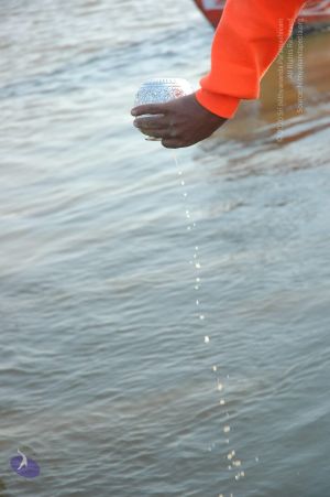 20060108 Picture 560 CMP WM.jpg