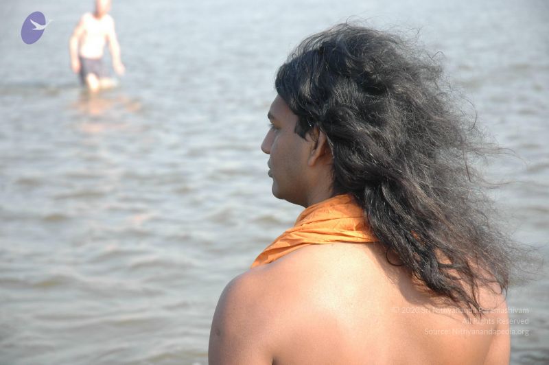 File:20060108 Picture 569 CMP WM.jpg