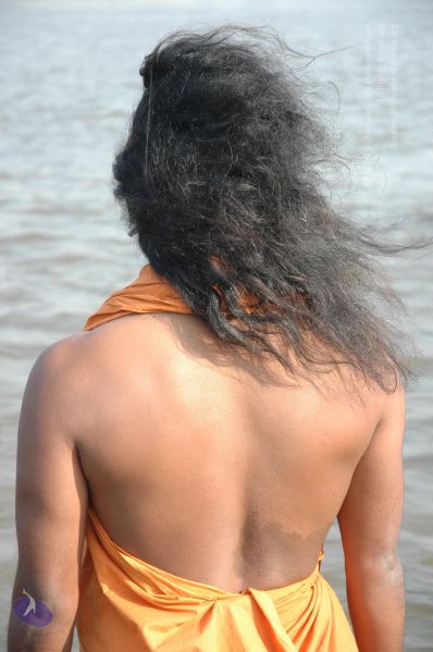 File:20060108 Picture 571 CMP WM.jpg