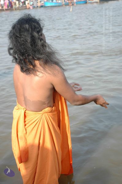 File:20060108 Picture 582 CMP WM.jpg