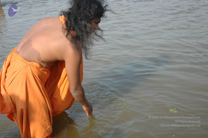 File:20060108 Picture 593 CMP WM.jpg