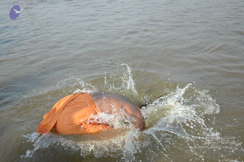 File:20060108 Picture 595 CMP WM.jpg