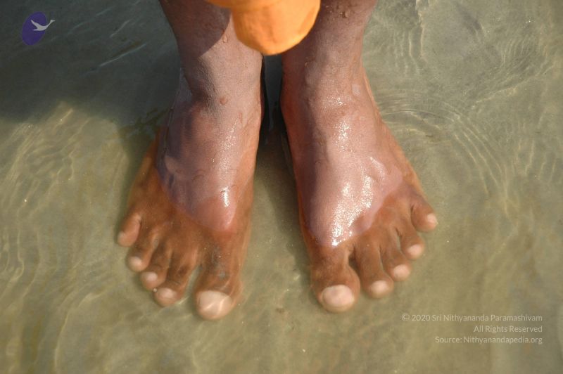 File:20060108 Picture 663 CMP WM.jpg