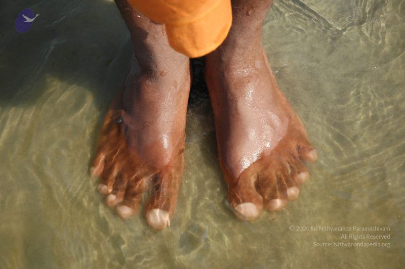 File:20060108 Picture 664 CMP WM.jpg