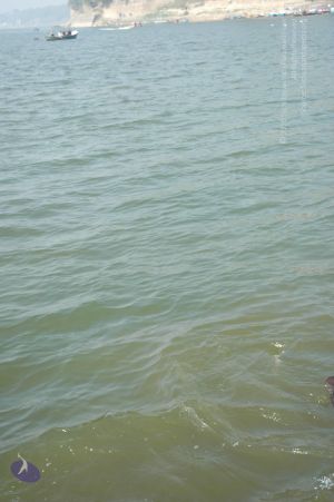 20060108 Picture 670 CMP WM.jpg